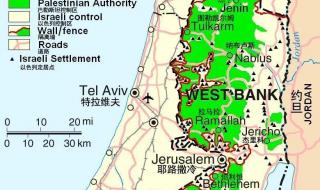 巴勒斯坦巴基斯坦